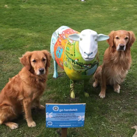 Broadoaks Boutique Πανσιόν