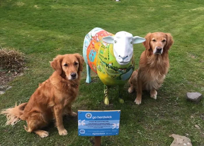 Broadoaks Boutique Gæstehus