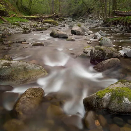 Broadoaks Boutique ווינדרמר
