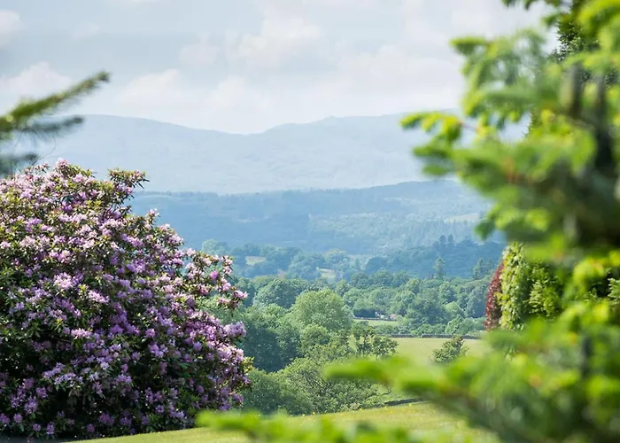 Broadoaks Boutique Windermere