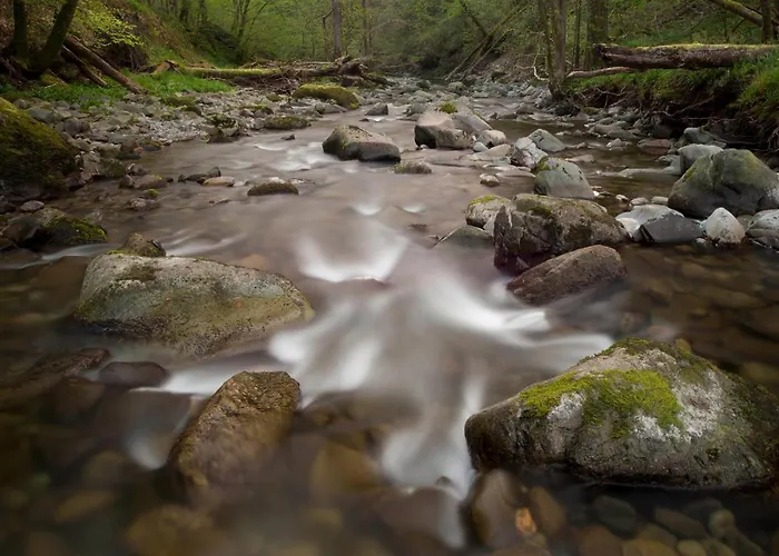 Broadoaks Boutique Windermere